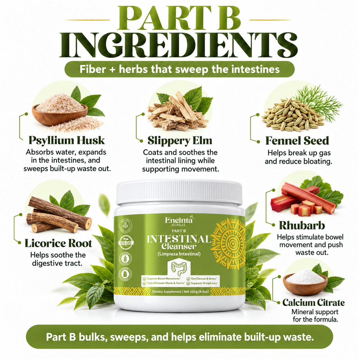 2-Part Intestinal Cleanser Bundle | Part A + Part B