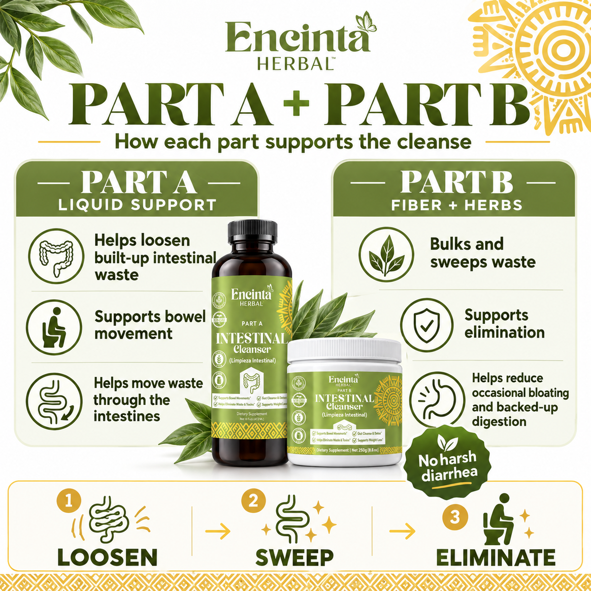 2-Part Intestinal Cleanser Bundle | Part A + Part B
